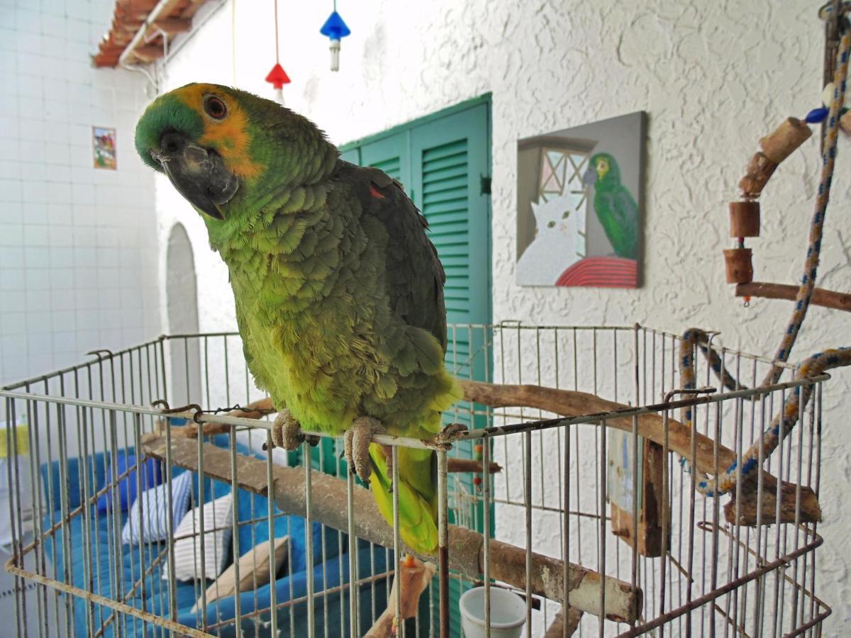 Hostel Maresias Do Leme ริโอเดจาเนโร ภายนอก รูปภาพ